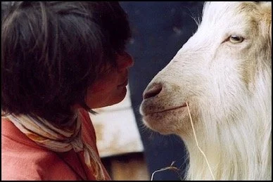 girl communicating with goat