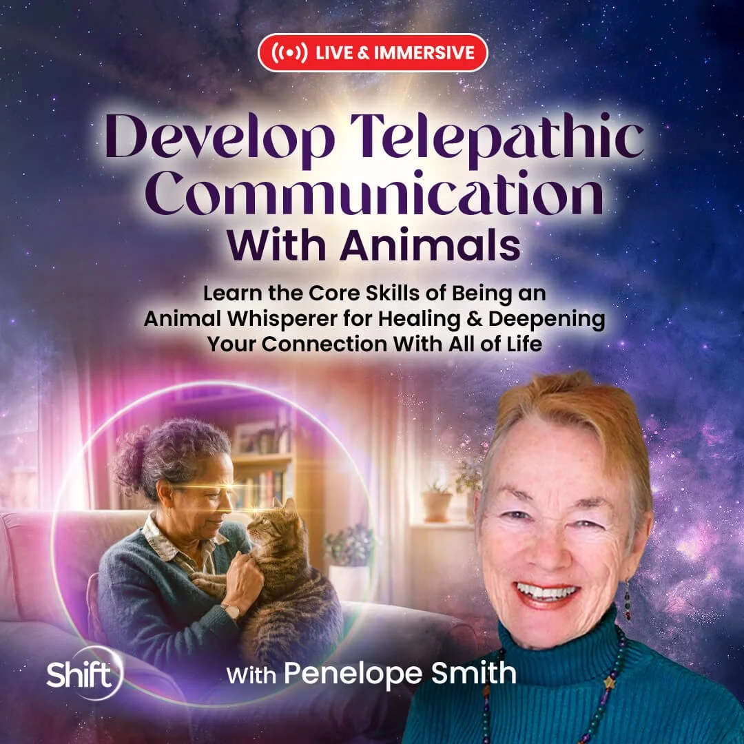 A promotional poster for a live online course titled 'Develop Telepathic Communication with Animals' featuring Penelope Smith, with a background of a starry sky and a woman cuddling a cat.