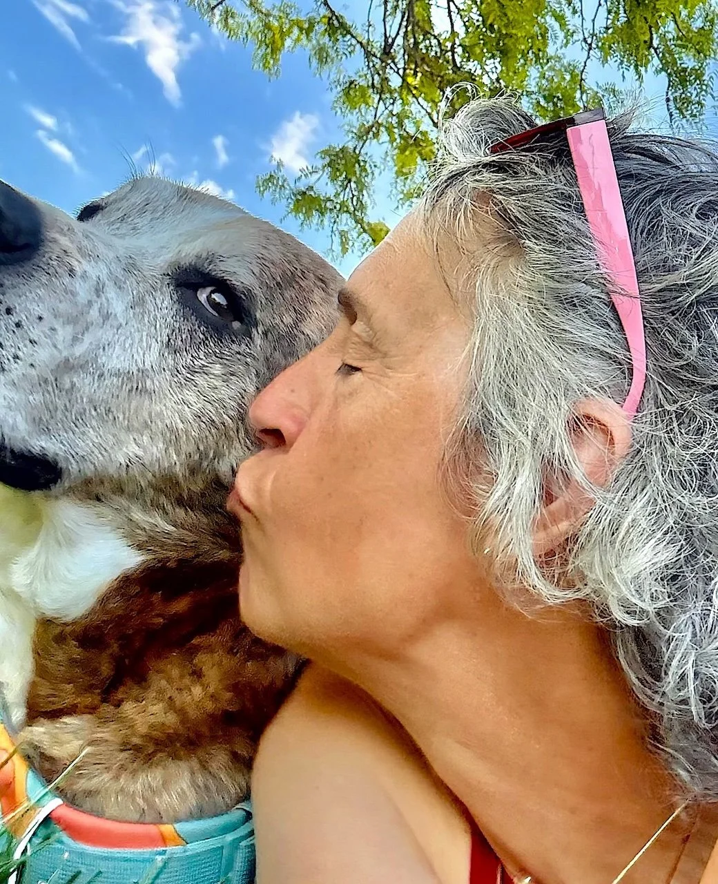 A woman with gray hair wearing pink sunglasses is kissing a dog on the nose outside under a tree with blue sky and clouds.