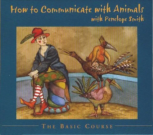 Book cover titled 'How to Communicate with Animals with Penelope Smith, The Basic Course,' featuring a person in a red hat and striped socks sitting on a colorful stool, with birds and a person with a long beak-like face in the background.