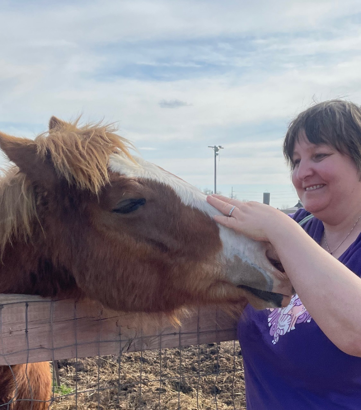 Person petting a brown and white horse over a wooden fence at a farm or ranch on a cloudy day.