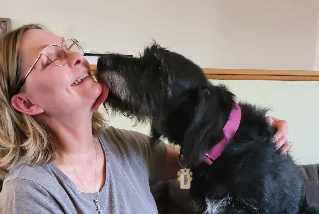 A woman with glasses and a gray shirt is smiling as a black dog with a pink collar licks her face.