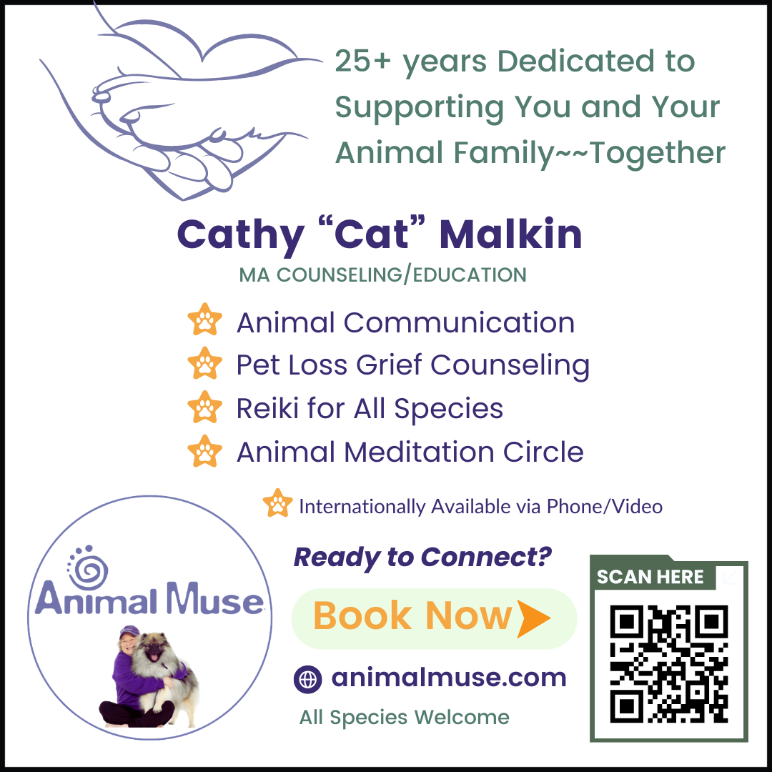 A promotional flyer for Animal Muse featuring therapy services by Cathy 'Cat' Malkin, highlighting her credentials, services such as animal communication, pet loss grief counseling, Reiki, and animal meditation, with a call to action to book now via QR code and website, and an image of a woman hugging a fluffy dog.