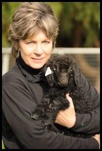 A woman holding a black puppy outdoors with a blurred background.