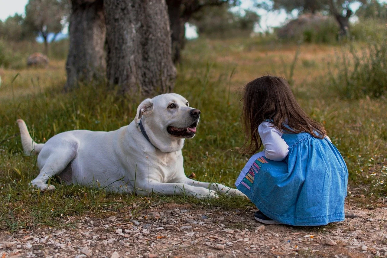 A young girl with brown hair, wearing a blue dress, crouches down to talk to a large white dog lying on the ground in a grassy outdoor setting with trees in the background.