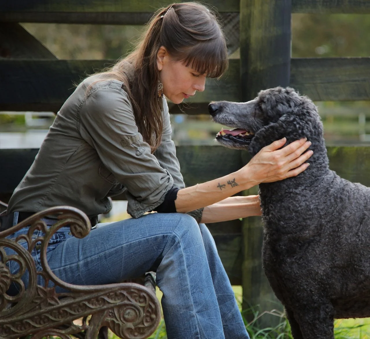 A woman sitting on an ornate metal bench outdoors, holding and looking at a large curly-haired dog, with a wooden fence in the background.