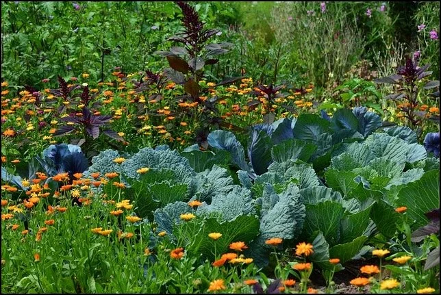 Telepathic Communication in the Garden