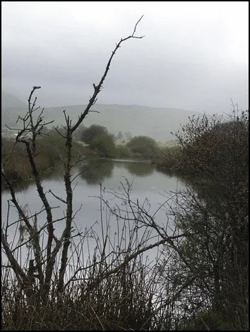 A cloudy scene of a river or lake with leafless trees and bushes in the foreground and hills in the background.