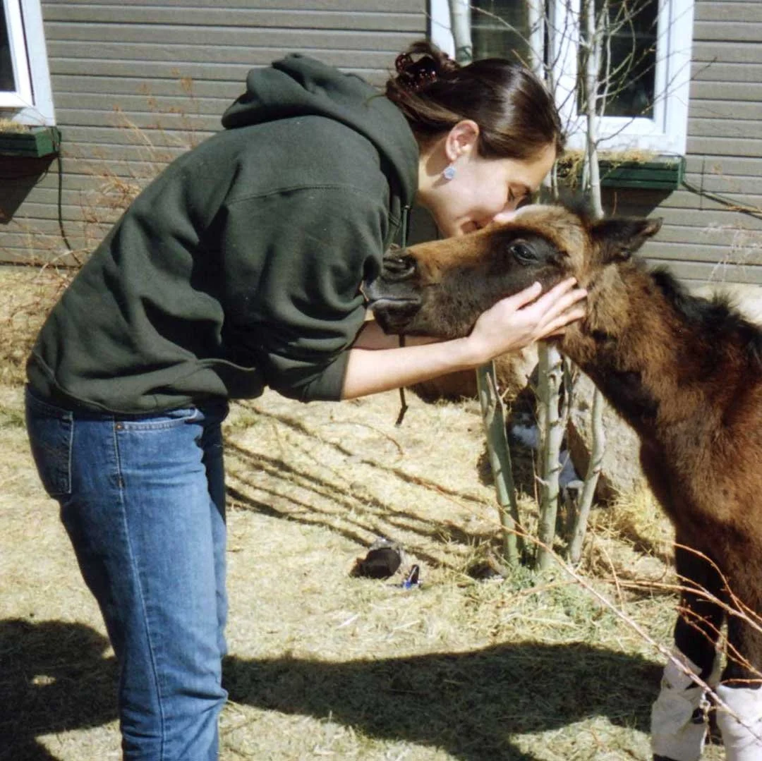 A woman in a green hoodie and jeans is smiling and kneeling down while holding the face of a small brown and black foal, whose head she is gently kissing. The scene is outside with a house and some leafless trees in the background.