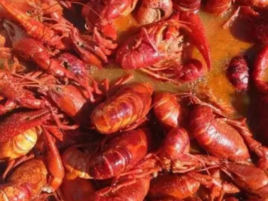 10 lb. Crawfish Bowl