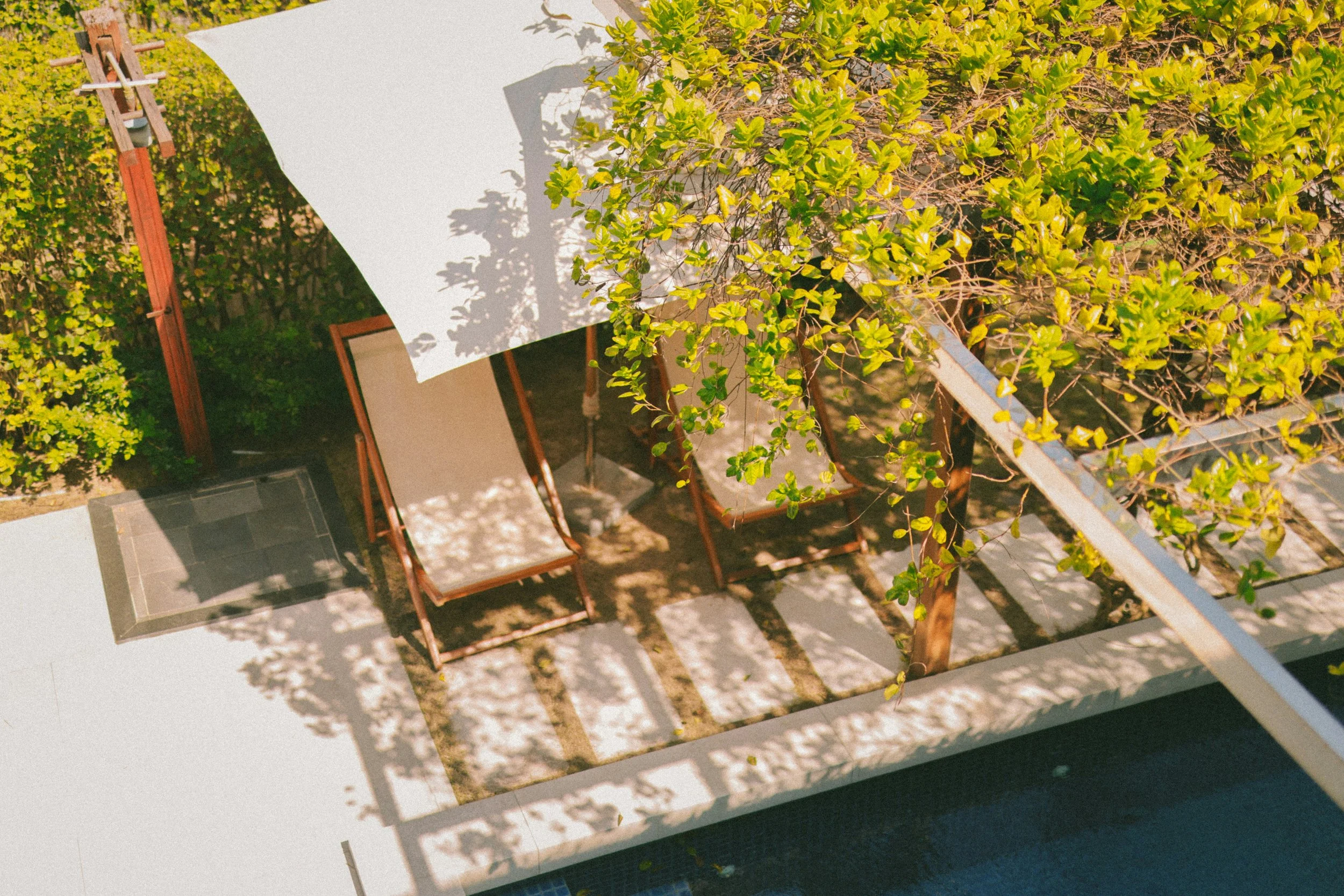 A rooftop patio with wooden chairs, a white umbrella, and a railing overgrown with green vines casting shadows on the tiled floor.