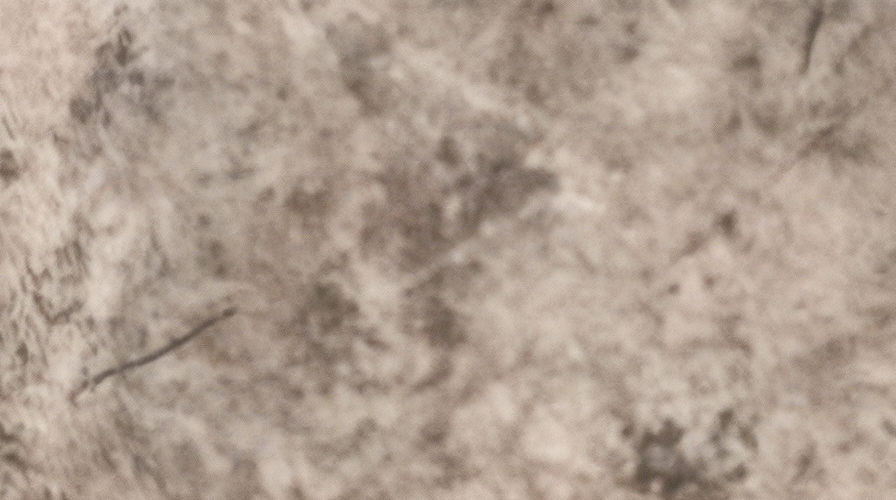 Close-up of a textured, beige, stone surface.