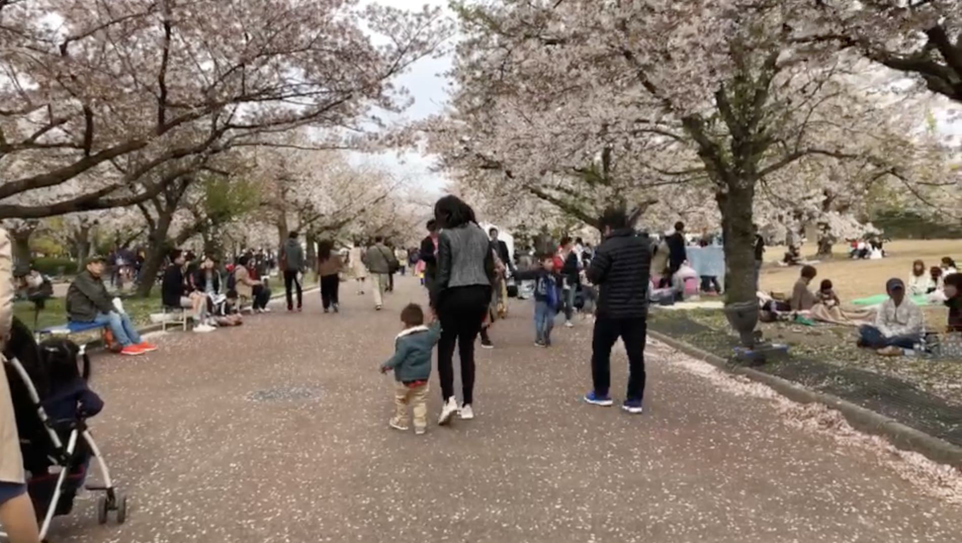 Finding a Slow Japan Inside a Fast One