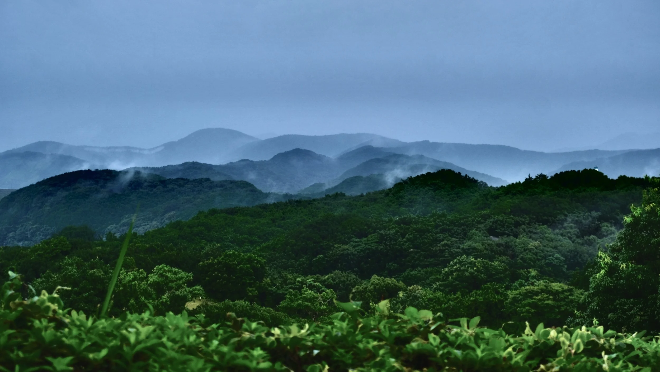 Moving to Japan - Life & Relocation Advisory