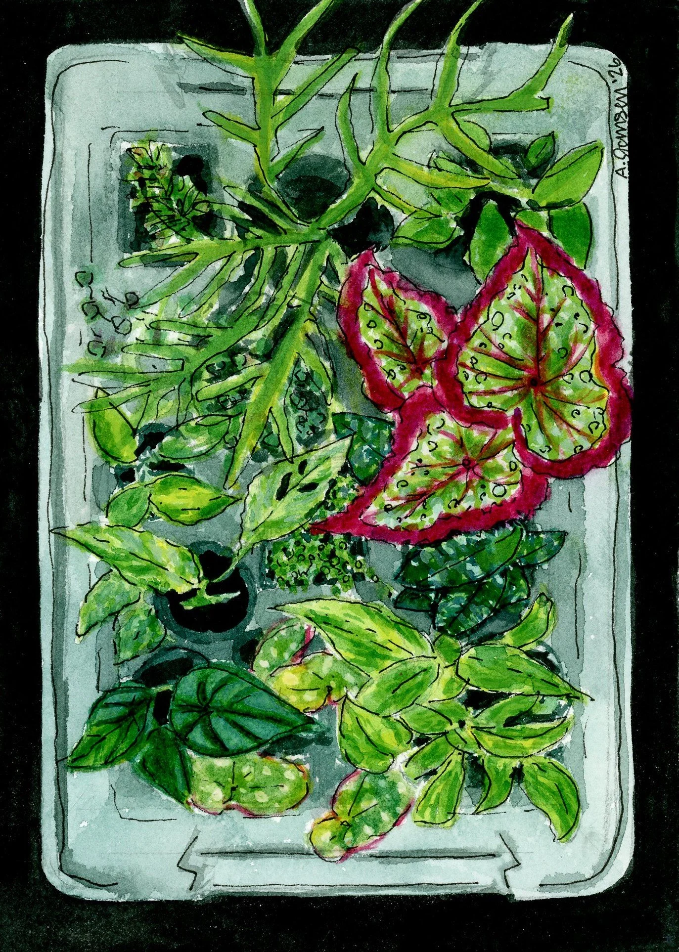 "Prop Box"
2026, Watercolor & Guache