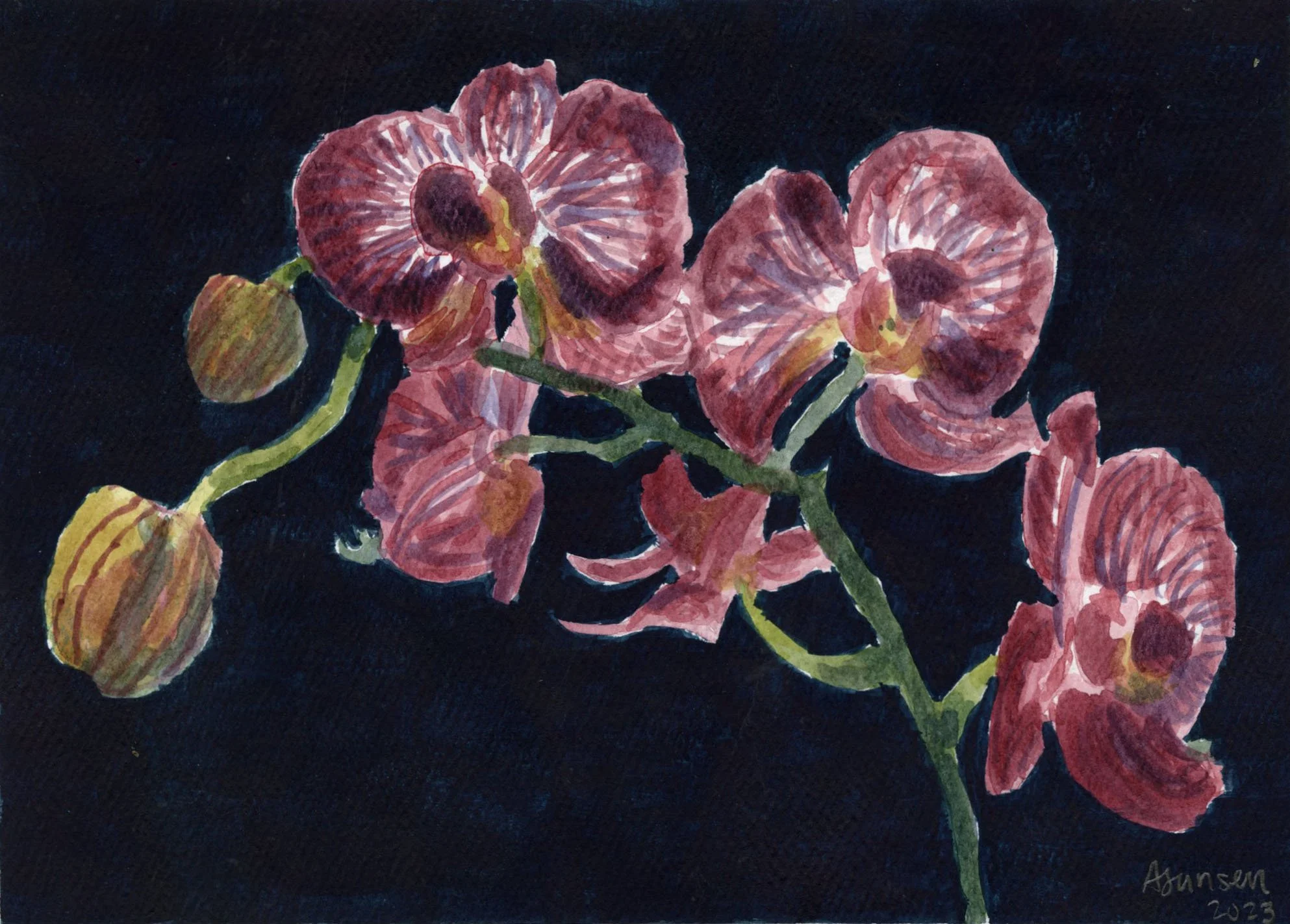 "Orchid"
2023, Watercolor