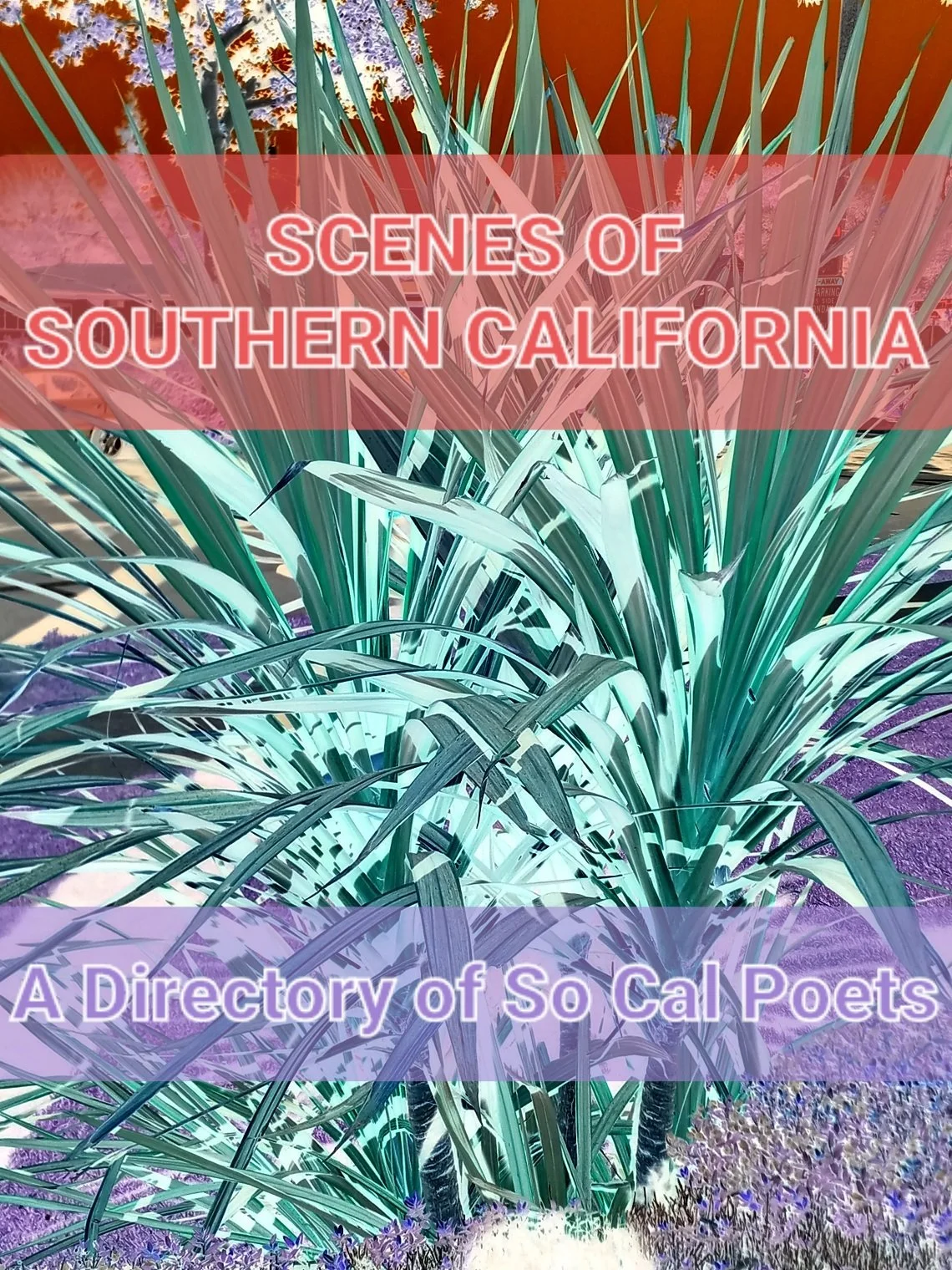 Scenes of Southern California, a Directory of So Cal Poets