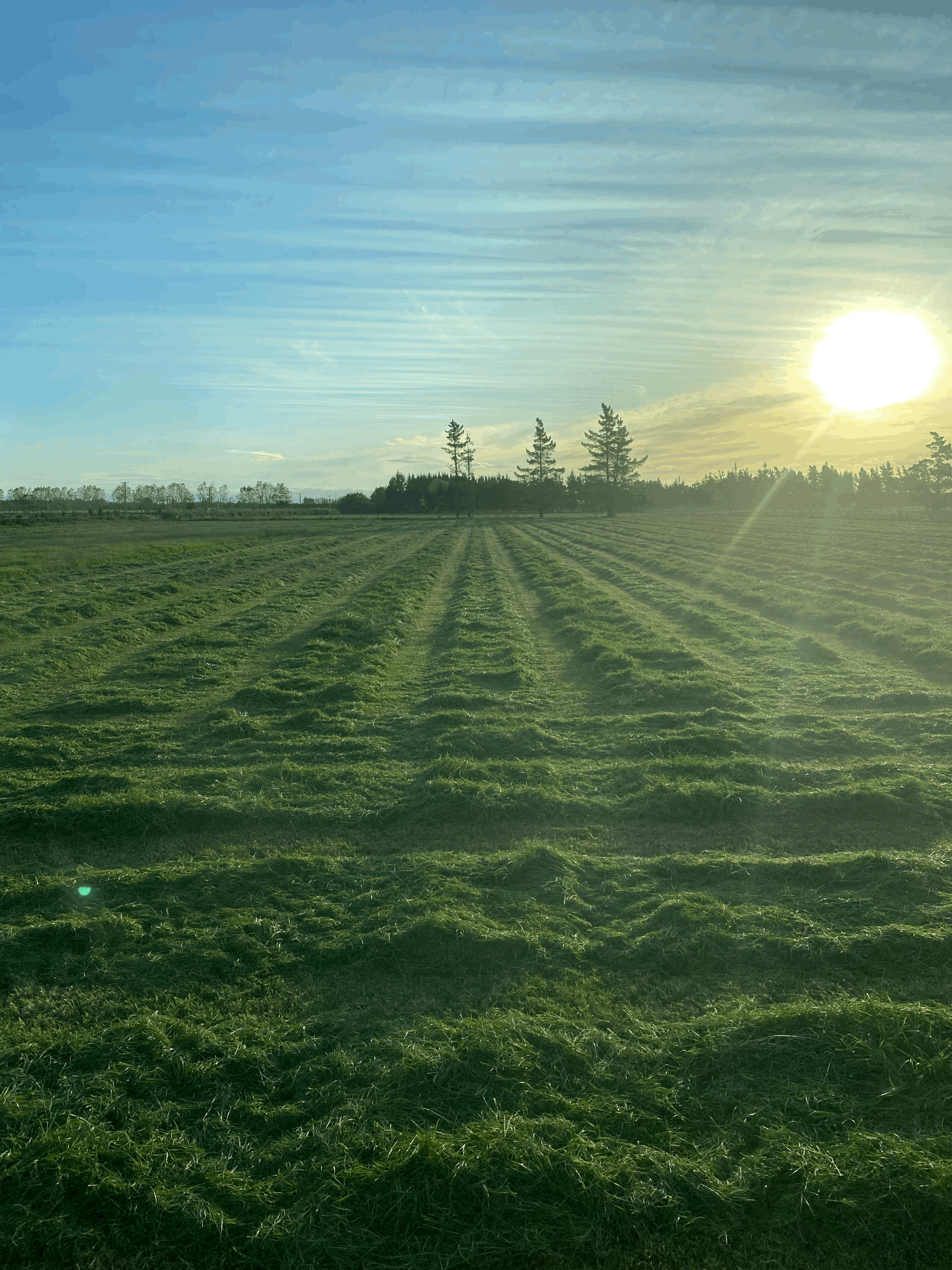 Feed sales & purchasing