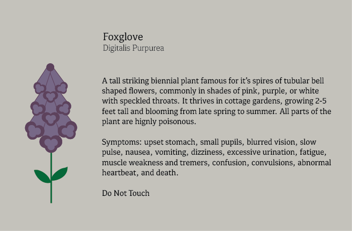 FlowersFinal-10.png