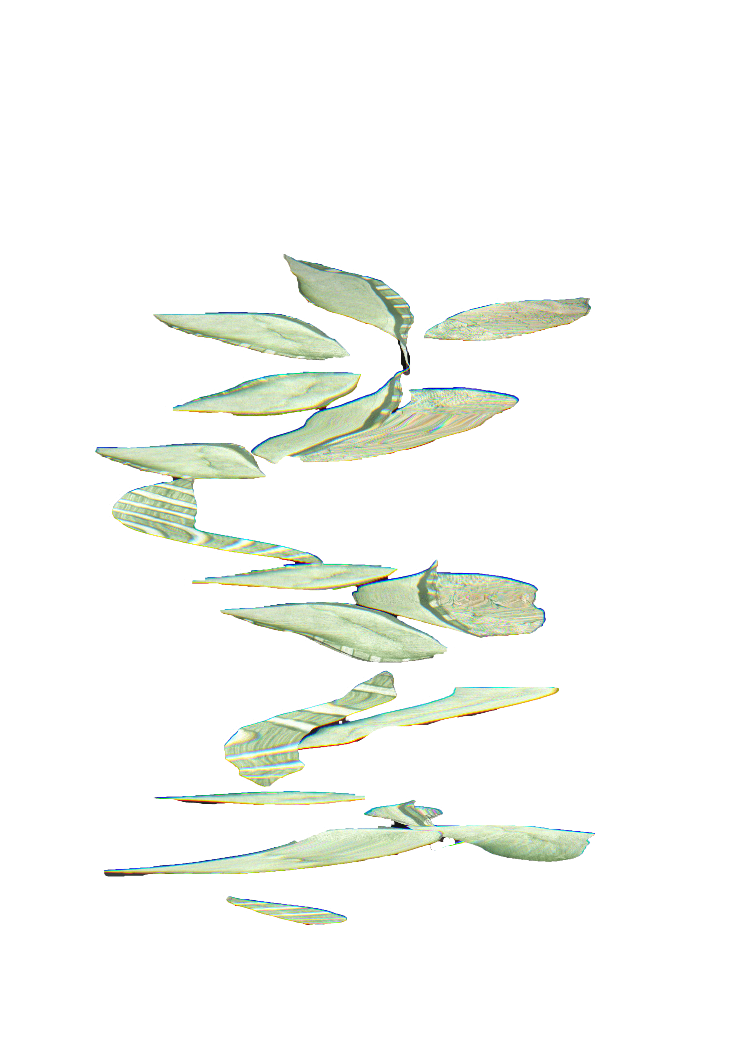 5.png