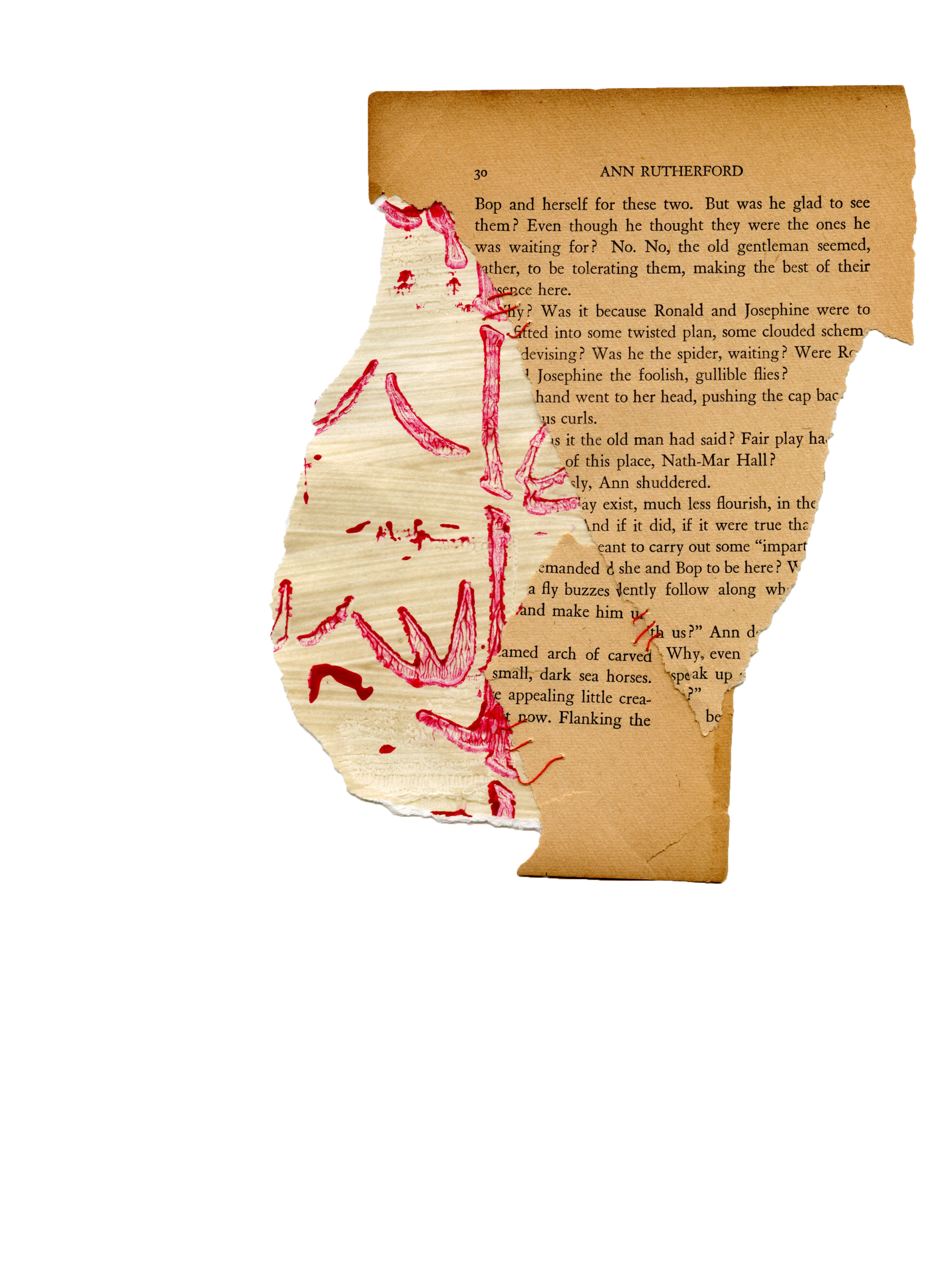 img20251024_15584015.png
