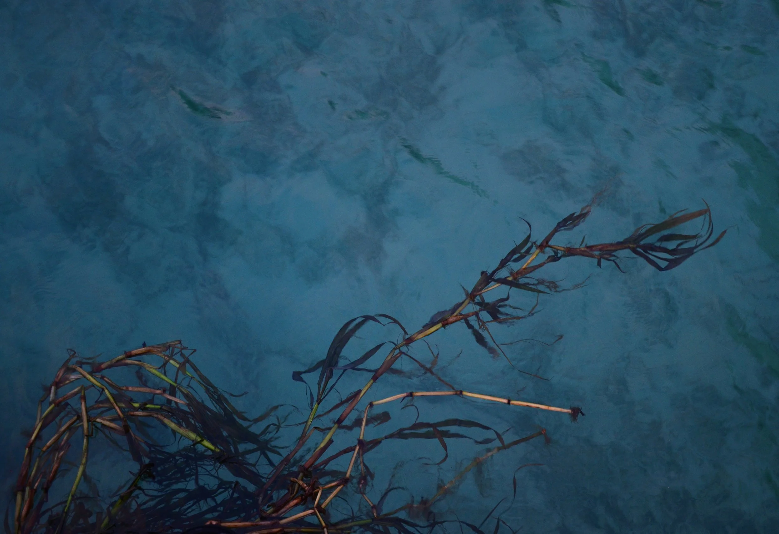 Water.jpg