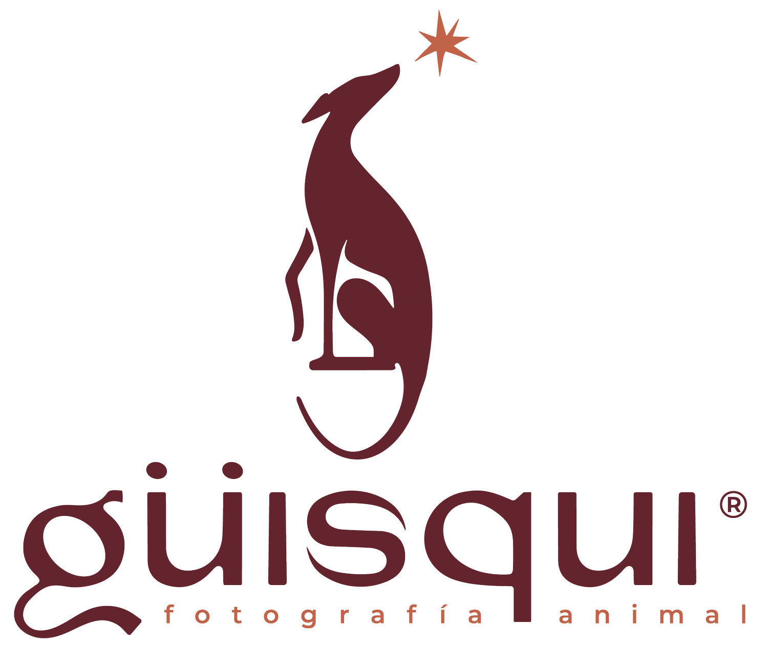 güisqui
