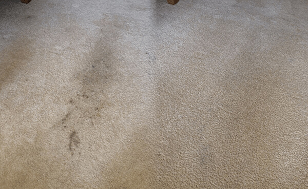 Beige carpet with noticeable dirt and stains.