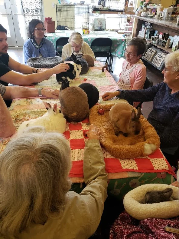 Bunny Tea! Marta, Dan, Mena, Jeanne, Grace and June!.jpg
