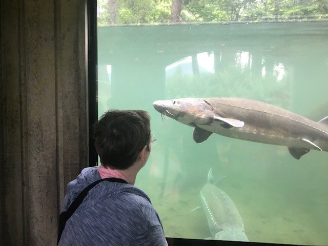 Herman the Sturgeon! Karen! .jpg