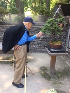 Japanese Garden-Jeno! .JPG