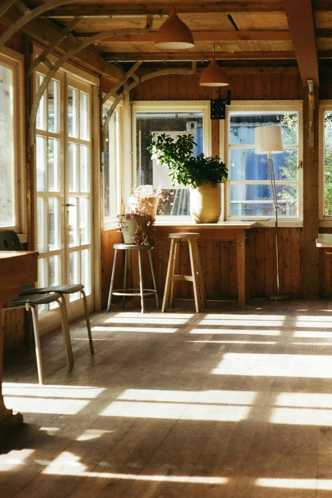 Sunlight streaming through multiple windows illuminating a cozy interior with wooden walls and ceiling, featuring potted plants, a floor lamp, stools, and a small table.