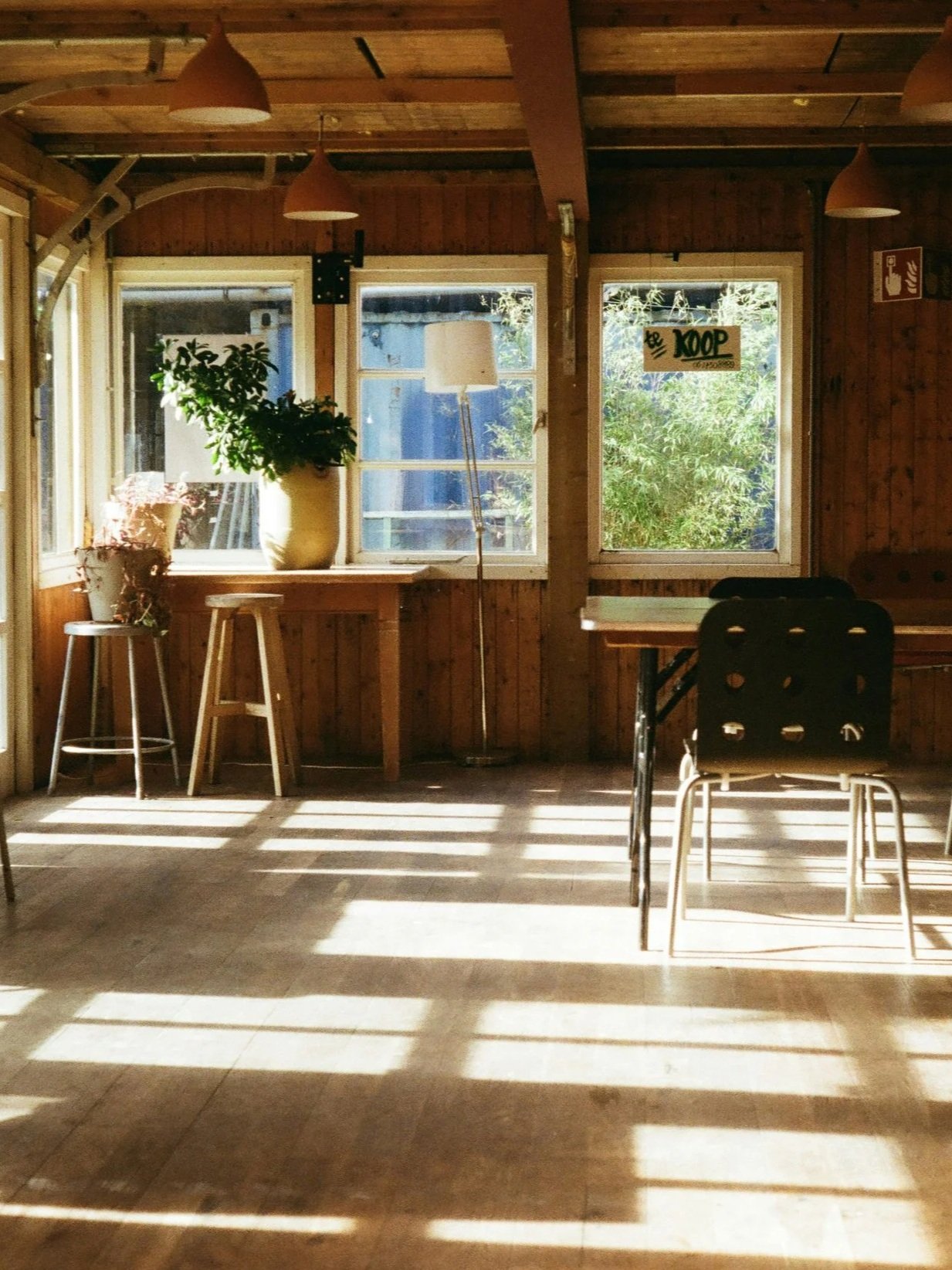 Sunlight streams through windows, casting shadows on the wooden floor of a cozy cafe or restaurant with wooden walls, a few tables, chairs, and potted plants.
