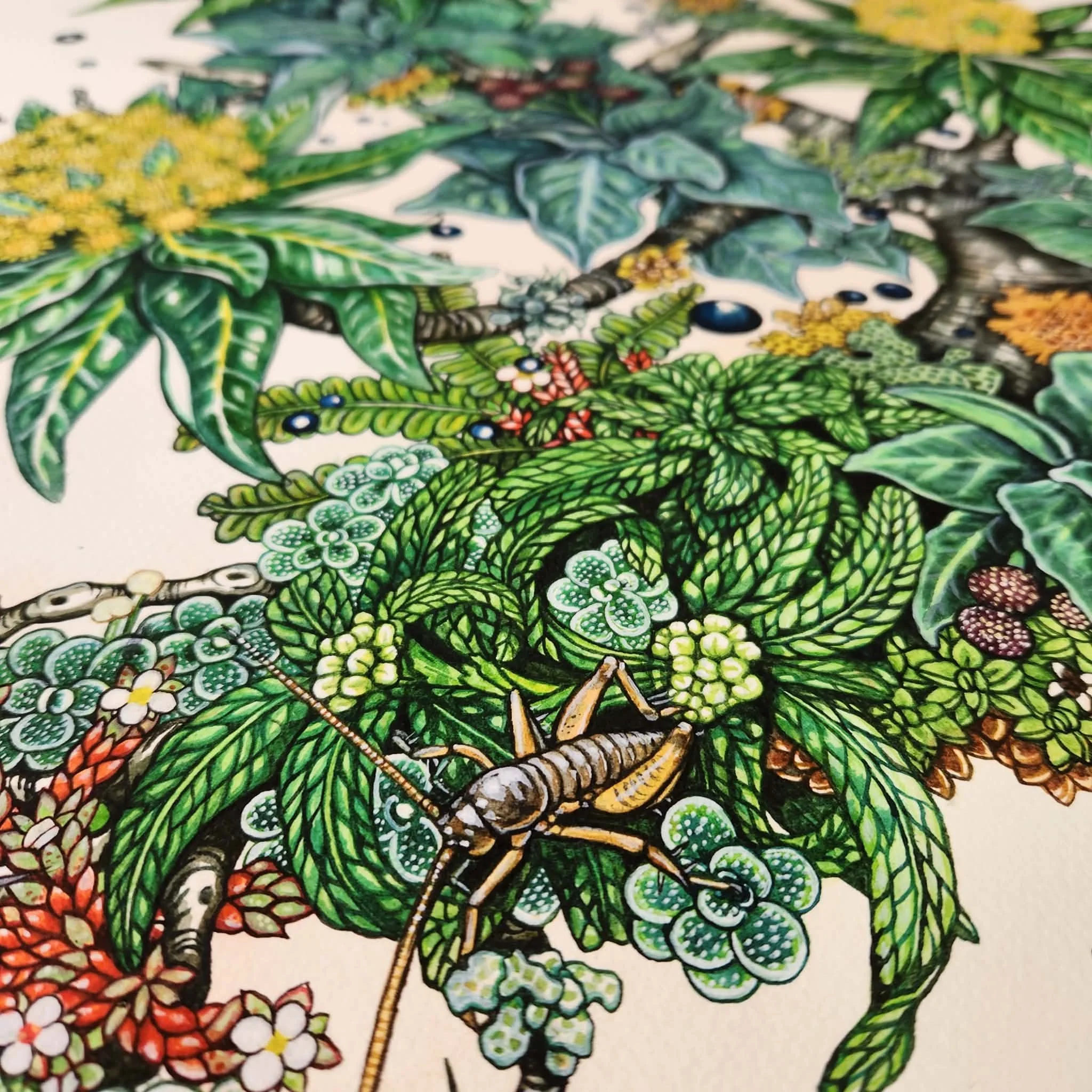 Snare's Island Ecosystem 2022 Archival Print