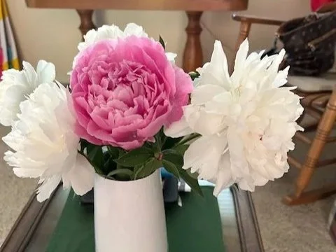 PEONIES