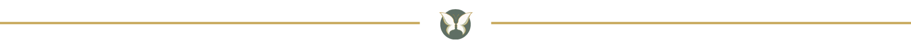 Butterfly emblem divider for Tender Presence.