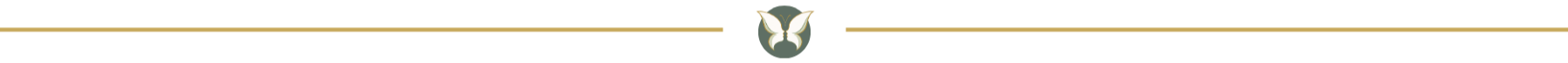 Butterfly emblem divider for Tender Presence.