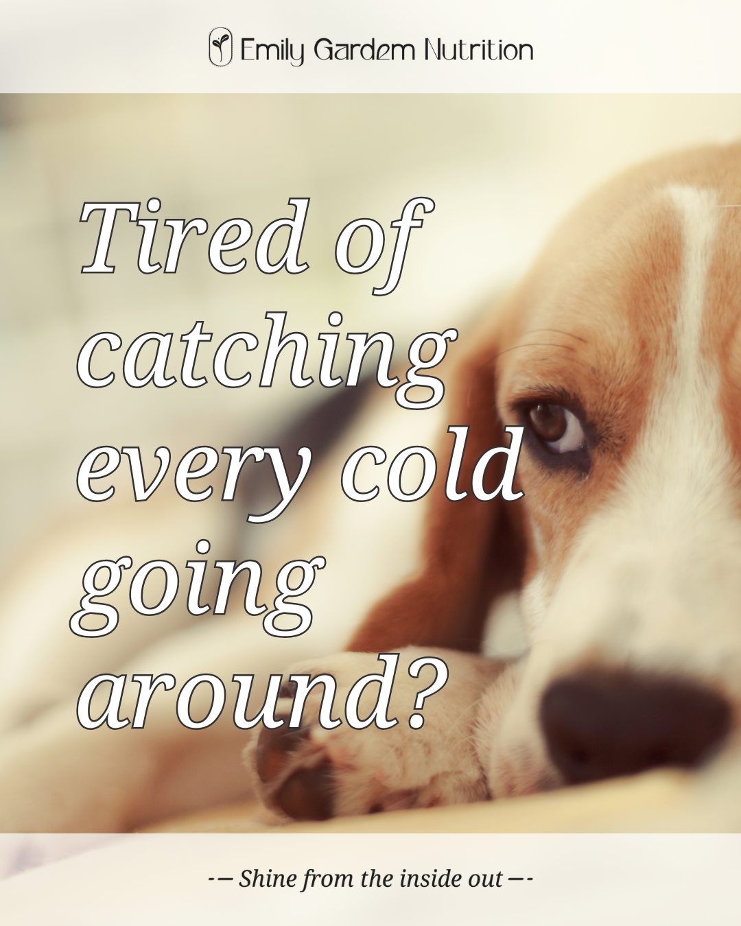Why Do You Keep Getting Every Cold and Flu That Goes Around?