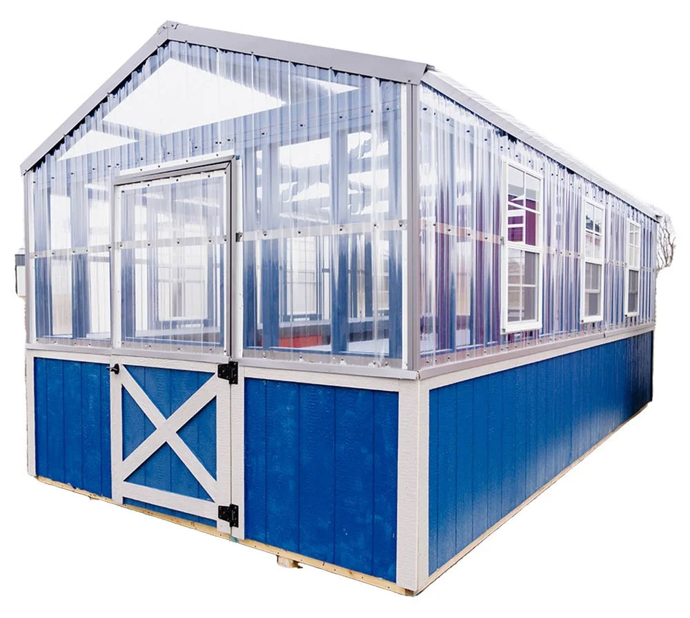 A small greenhouse with a blue wooden foundation, clear plastic walls, and a sloped roof, featuring multiple windows and a white door with black hinges.