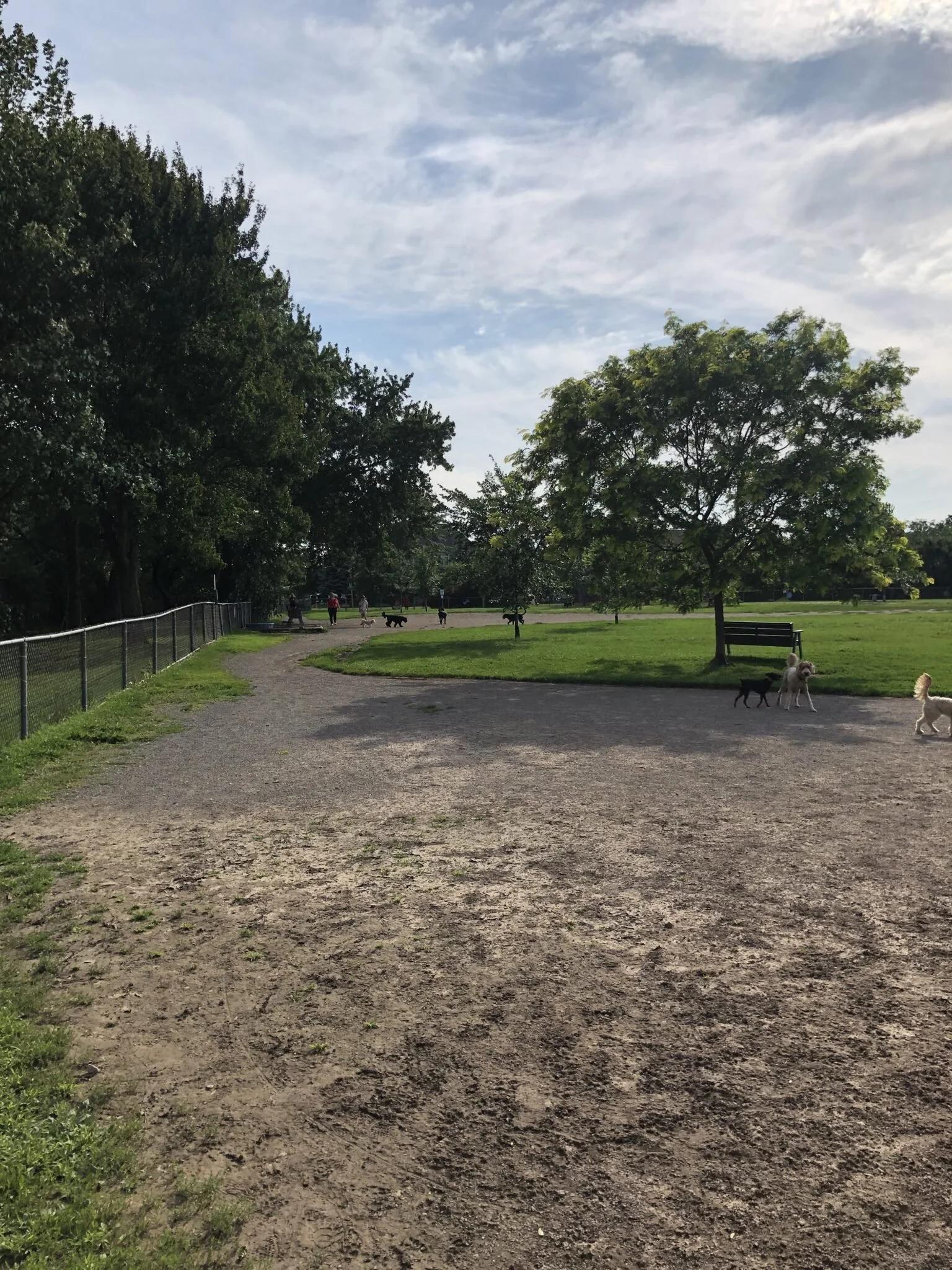 A dog park with a gravel pathway, green grass, trees, benches, and people with dogs in the background on a partly cloudy day.