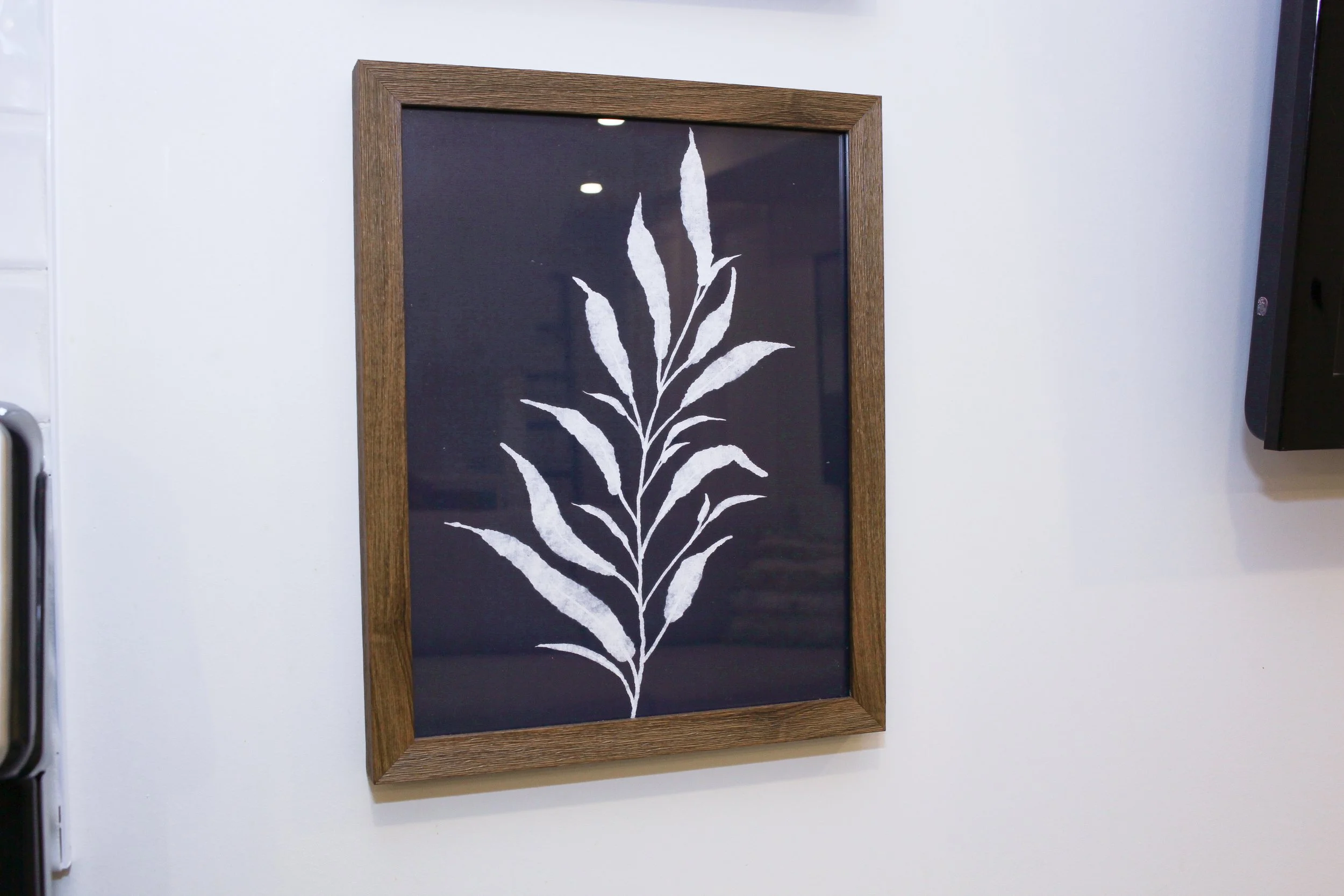Framed black and white botanical art on a white wall.
