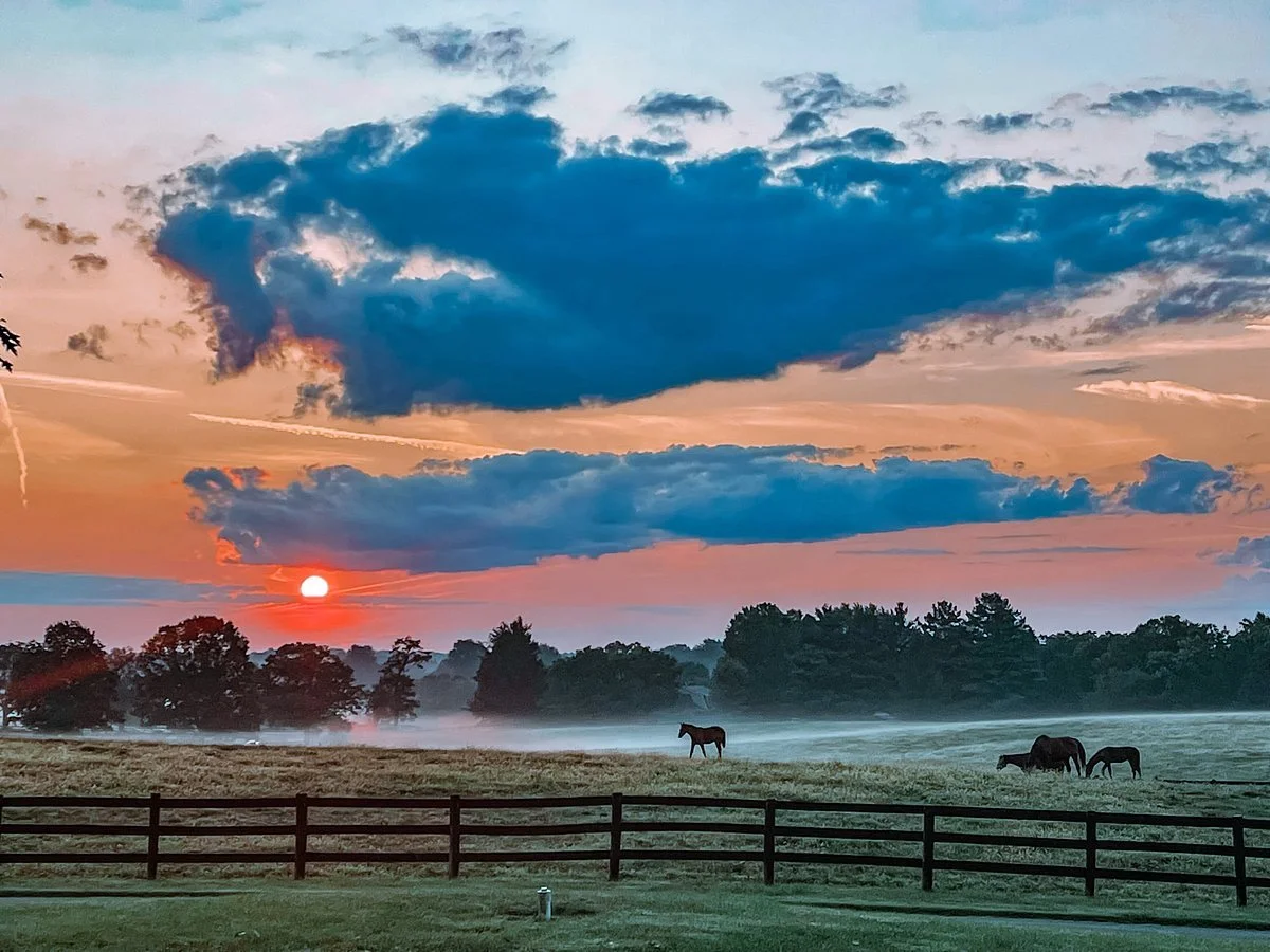 neat-kentucky-tours (3).jpg