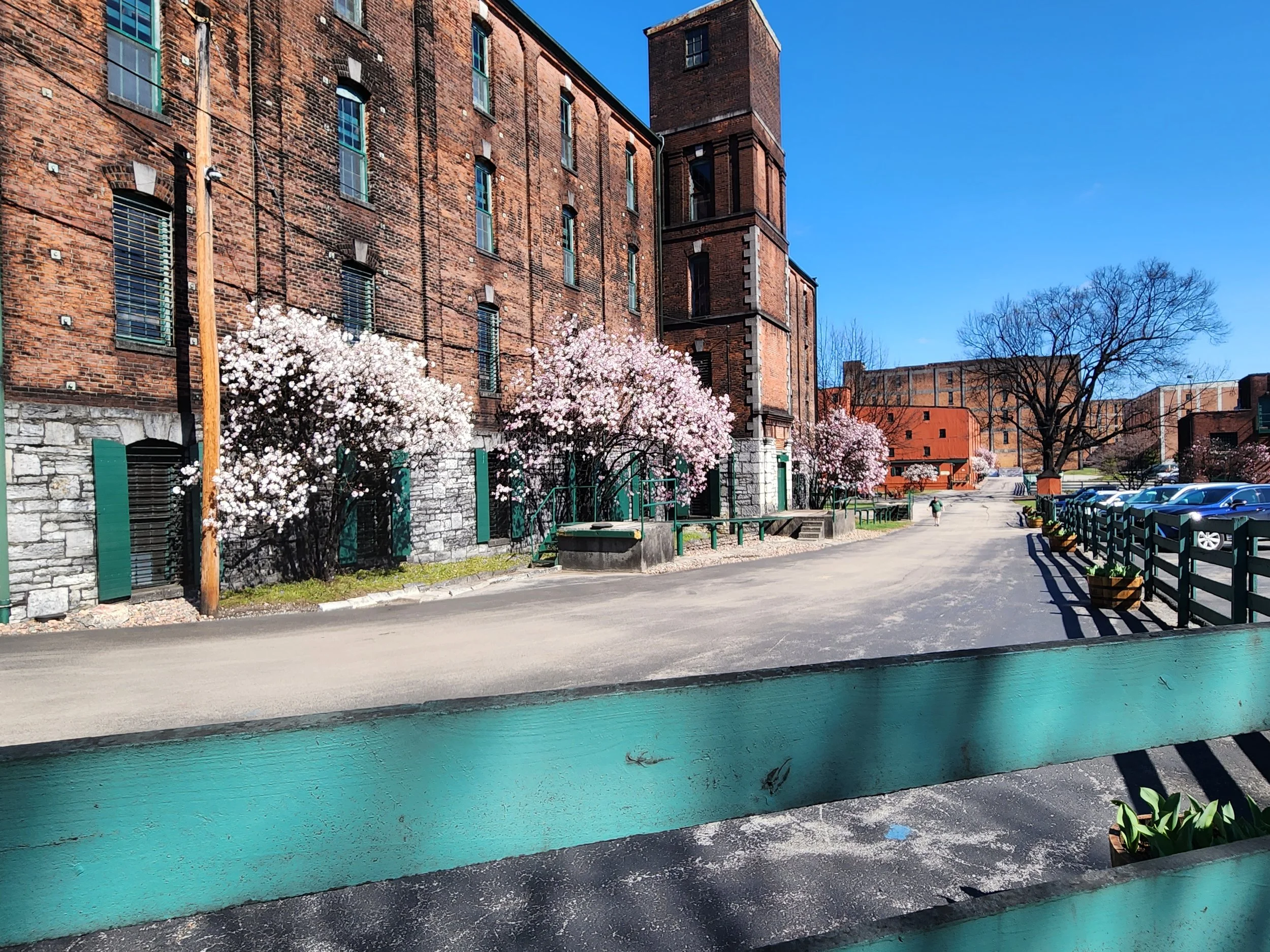 Frankfort Area Attractions