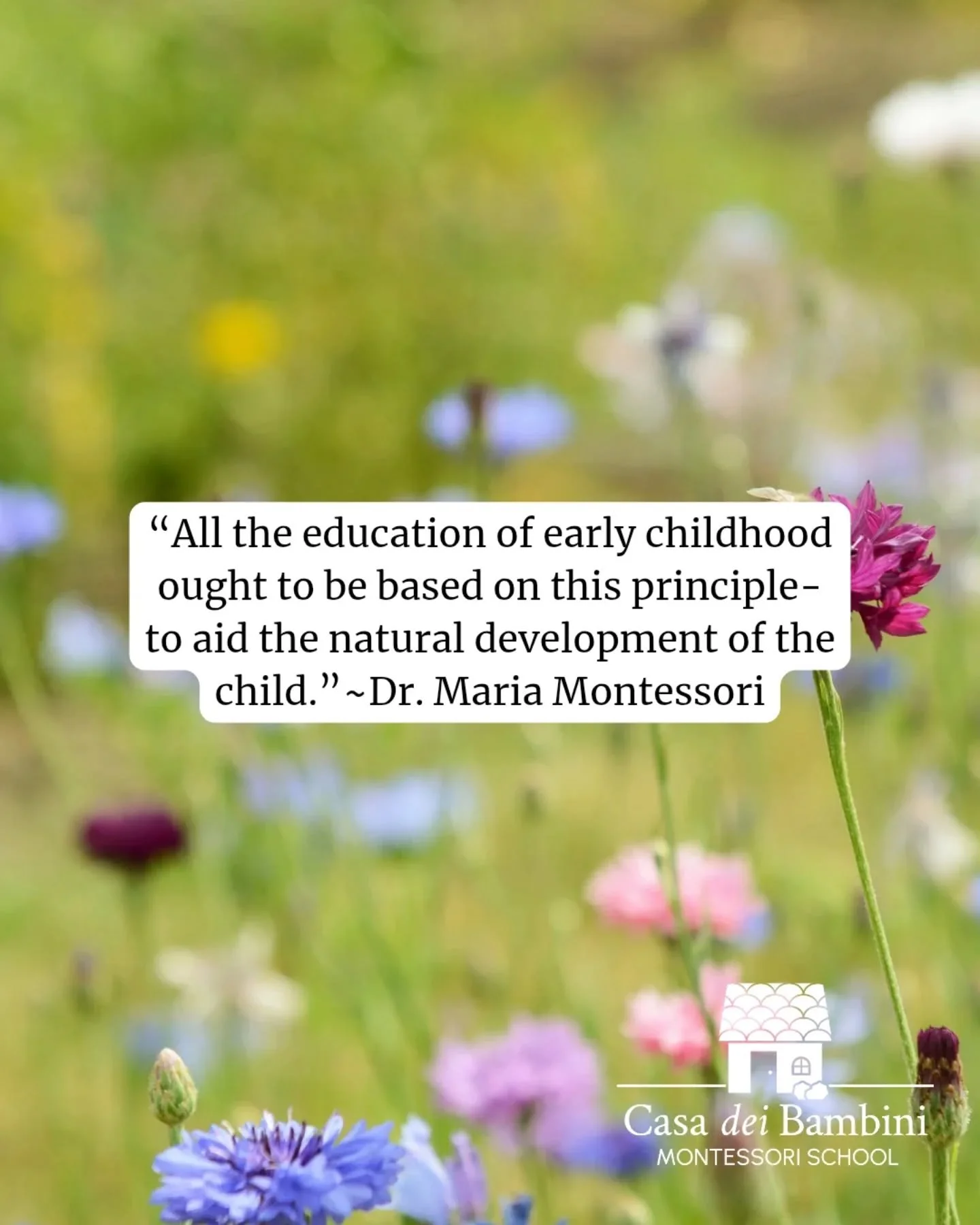 Trust the child, support the process, and watch what happens 🪻

Children learn best when they're trusted to lead their own discovery. Dr. Montessori knew it over a century ago and it's still the foundation of what we do in our classroom.

#casadeiba