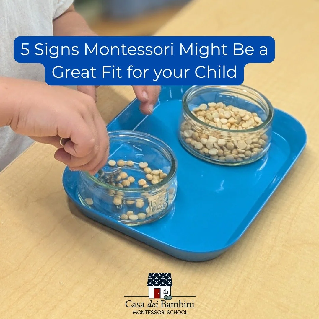 When families start exploring early childhood programs, one of the first questions they ask is: What's the difference between a Montessori school and a conventional preschool? Both offer nurturing environments for young children, but the daily experi