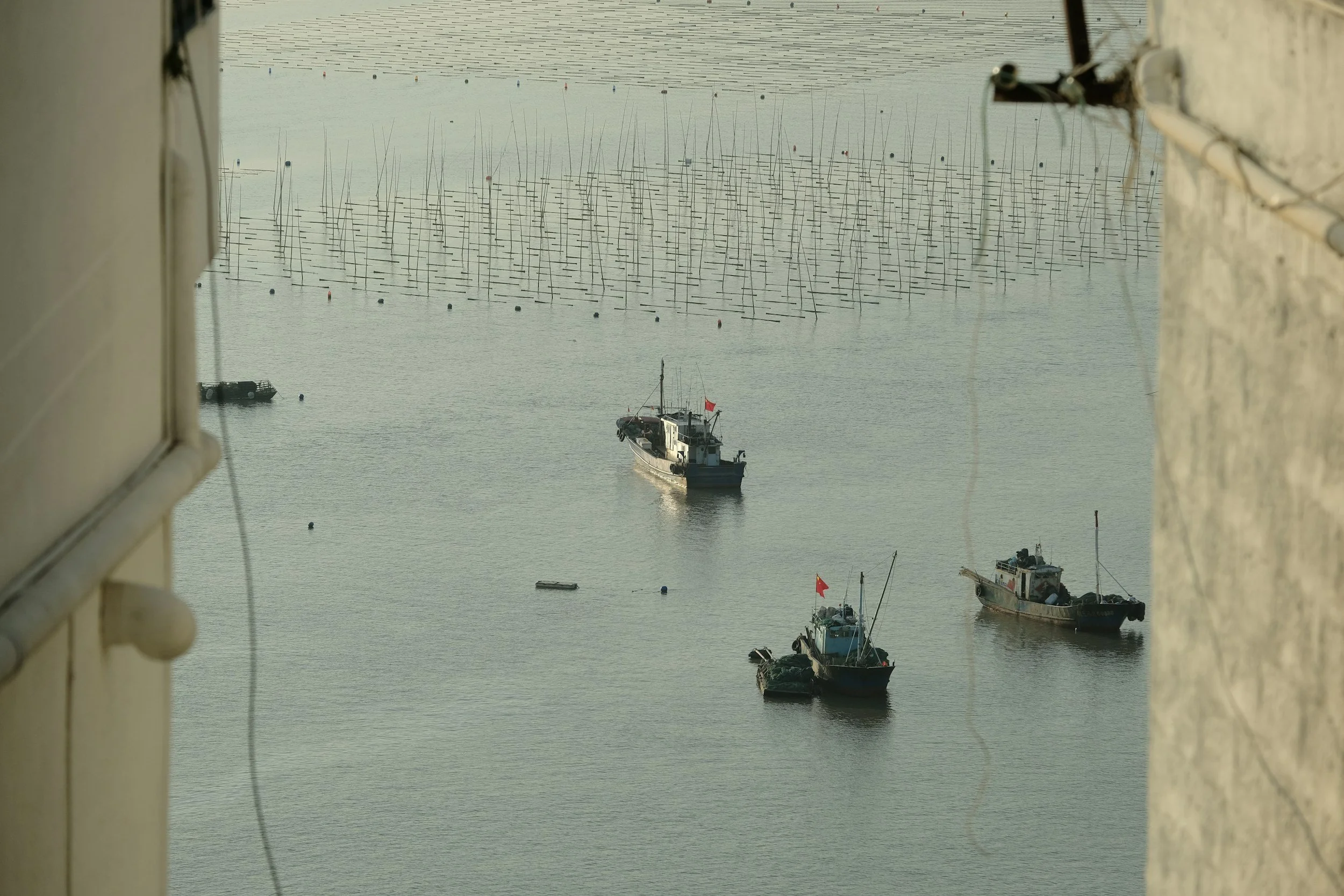 China's aggressive actions can now be seen beyond South China Sea