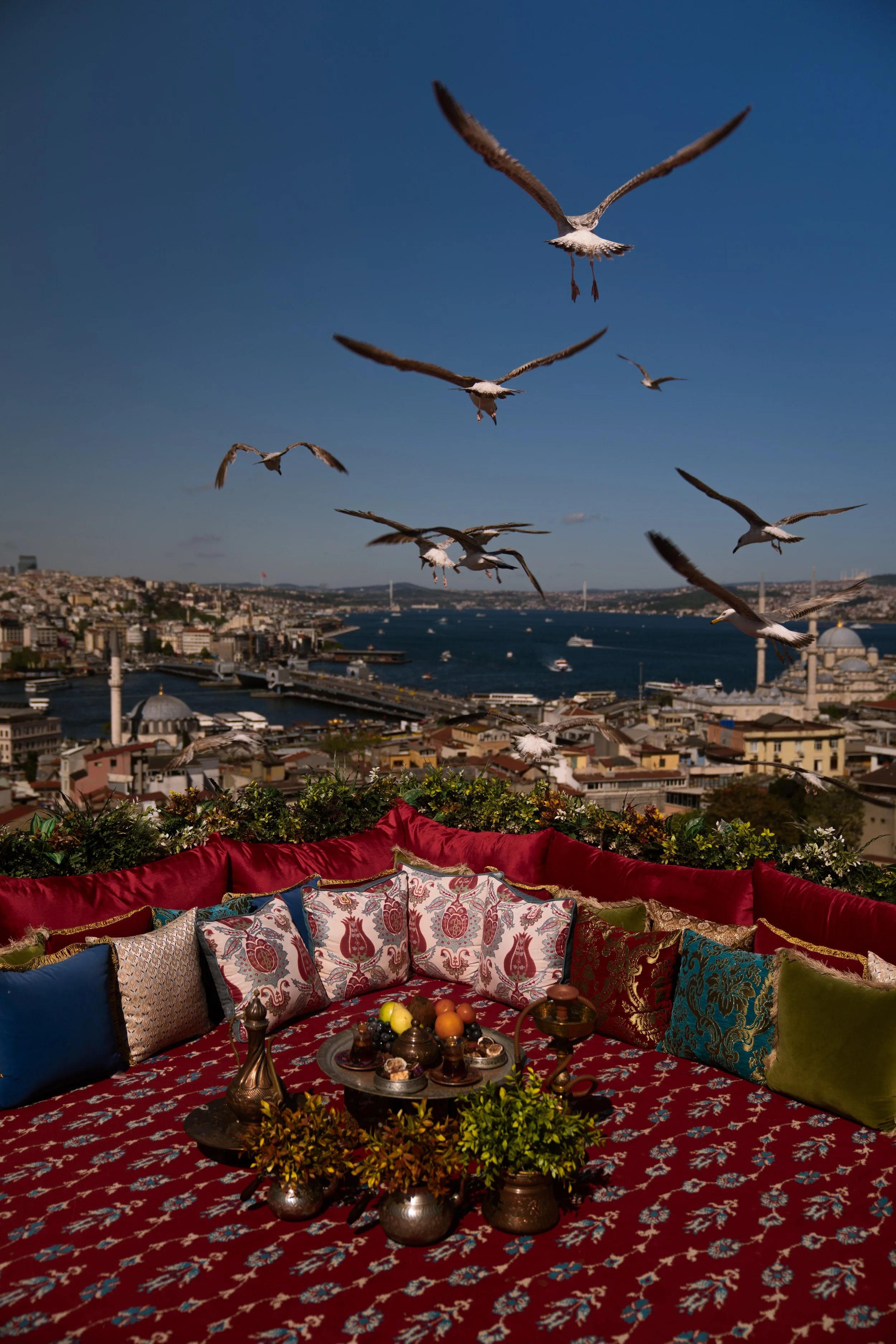 A cityscape view with a river, multiple boats, and bridges, with seagulls flying above. The foreground shows a rooftop decorated with red patterned carpet, colorful cushions, and a low table with a tray of food and drinks.