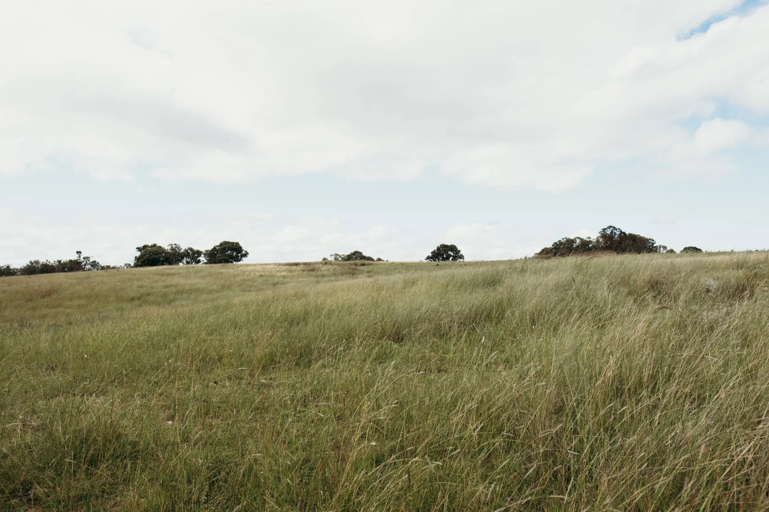 Alum Rock Hideaway Final Gallery (95 of 120).jpg