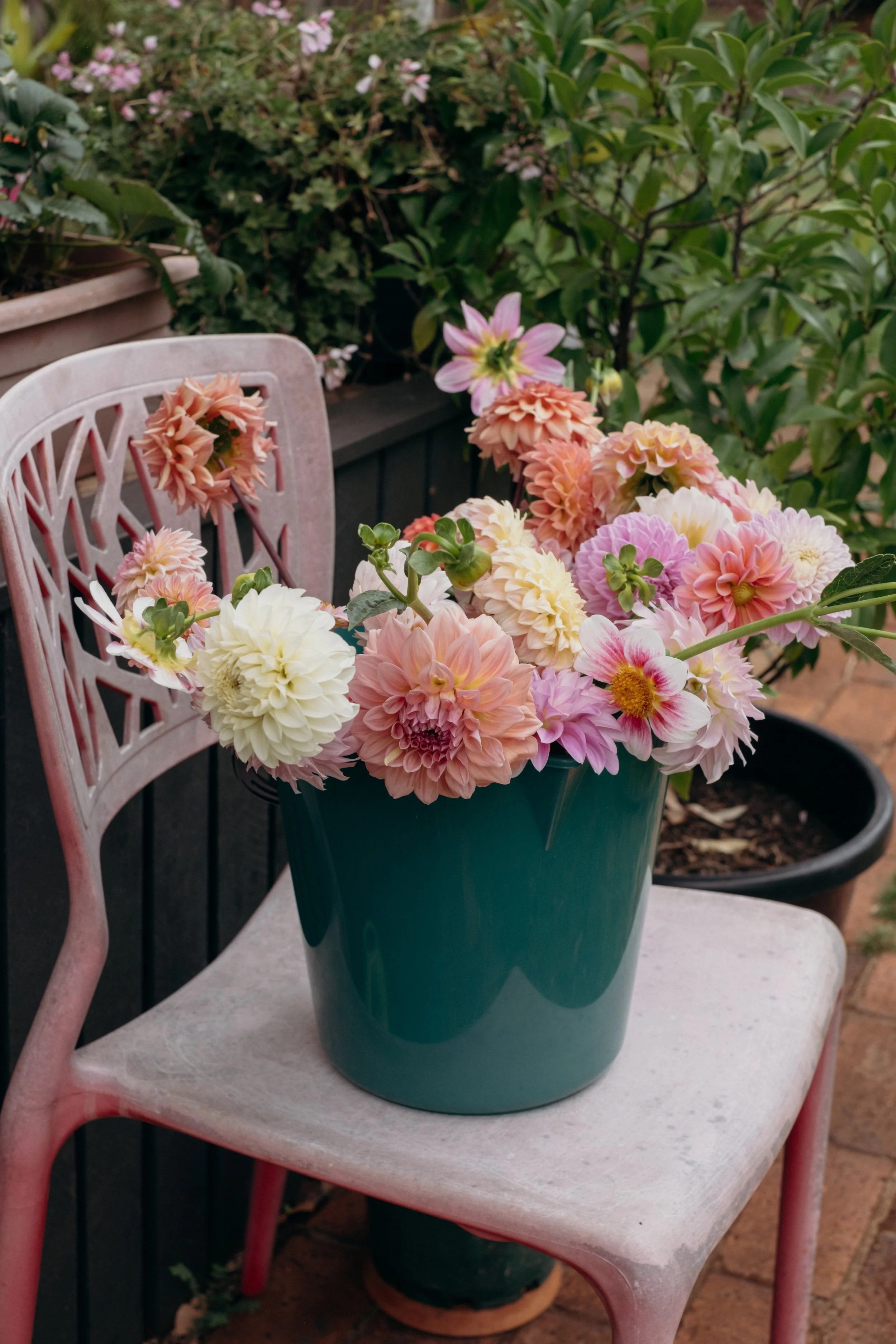 Katie-Jane Hannah - Bluebell Hollow (70 of 70).jpg