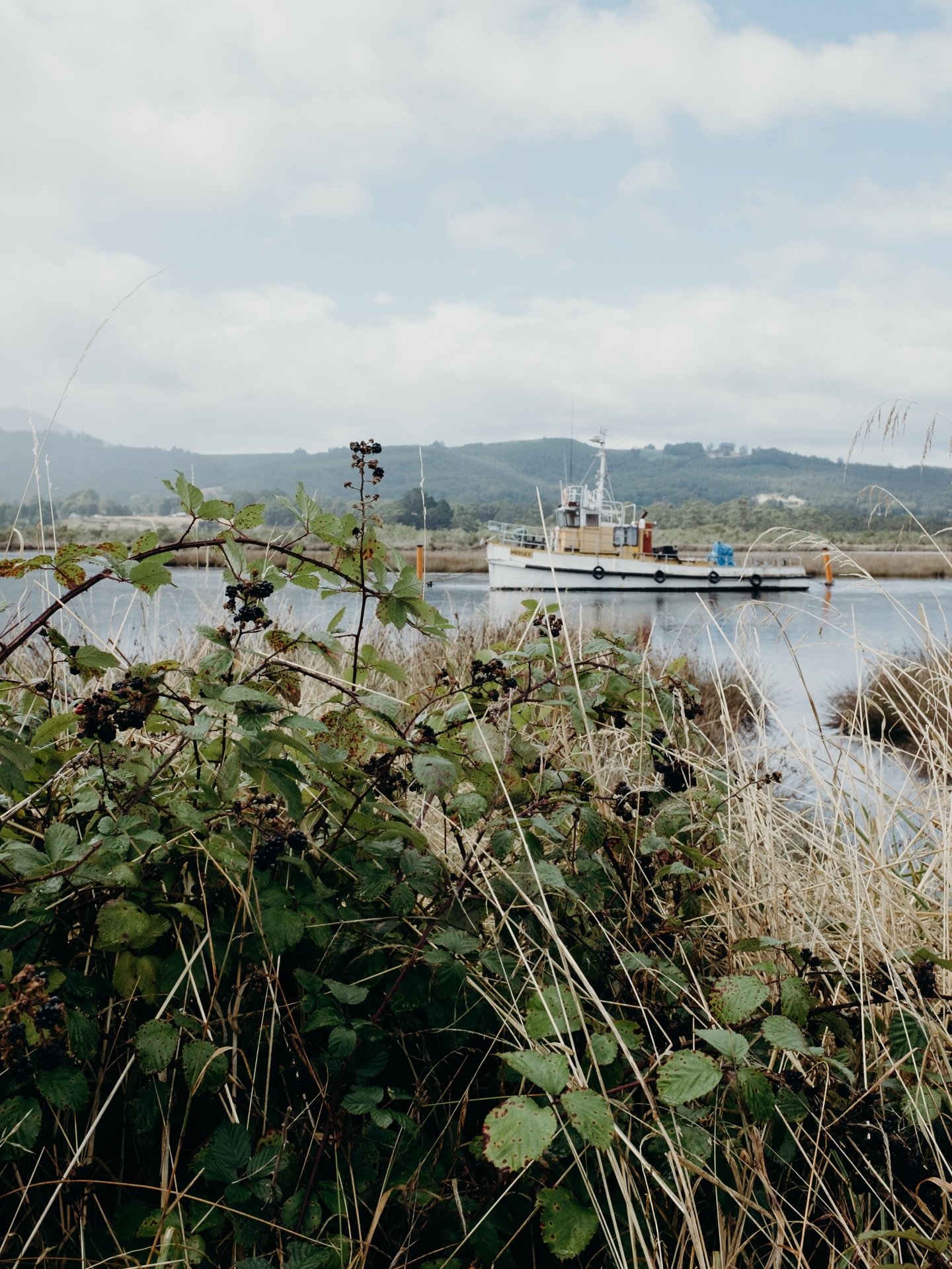 The brambles and boats along the Huon River in Franklin, and my yearly nostalgic look at our Tasmanian Honeymoon album. How we love this part of the world, and feel drawn to it every chance we get. 🍁

Tell me, would you Airbnb with babes around our 